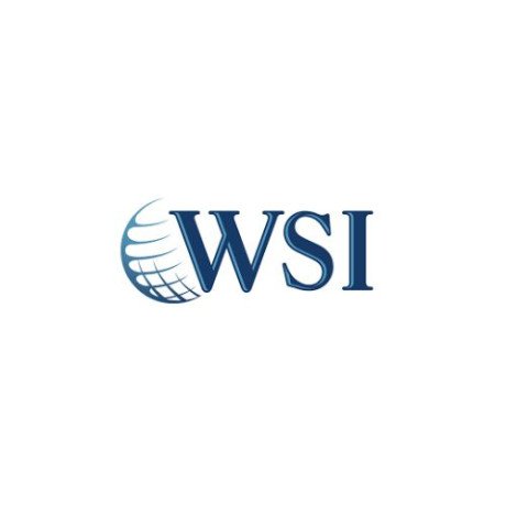 WSI Web Enhancers