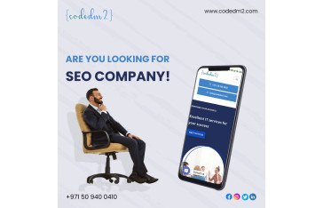 Are You Looking for SEO Company? – Codedm2