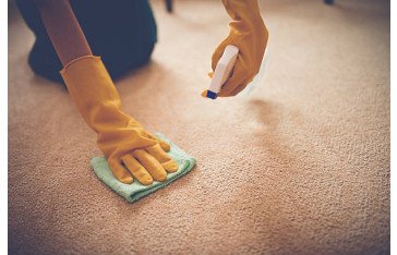 Carpet Cleaner near me - Yourlocalcarpetcleaner