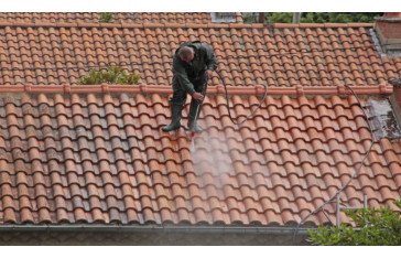 Best Service For Terracotta Roof Demoss