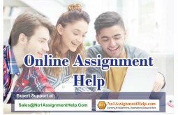 online-assignment-help-at-no1assignmenthelpcom-small-0