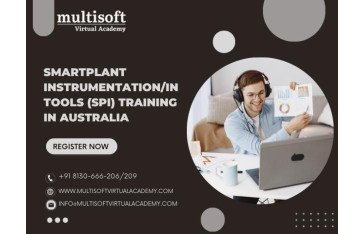 SmartPlant Instrumentation/INtools (SPI) Training in Australia