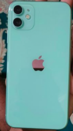 apple-iphone-11-464-used-big-0