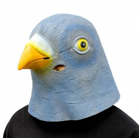 buy-the-latest-in-trend-the-costume-blue-pigeon-mask-for-kids-big-0