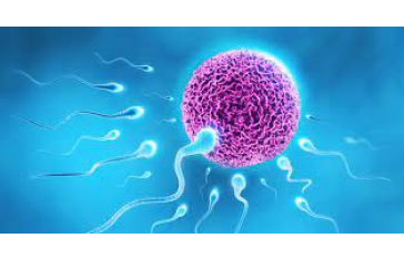 Trusted IVF Center in Bikaner