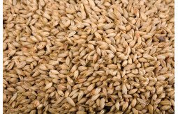 obtain-high-grade-stock-feeds-from-eagle-asia-the-superior-top-grains-exporters-small-0