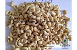 vietnamese-cashew-nut-kernels-ww450-small-0