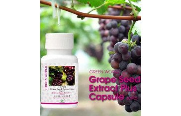 Grape Seed Extract Plus in Sialkot 03331619220