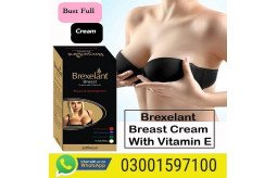 brexelant-breast-cream-in-gujrat-03001597100-small-0