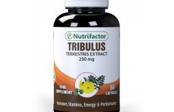 tribulus-terrestris-in-faisalabad-ship-mart-tribulus-terrestris-supports-healthy-03000479274-small-0