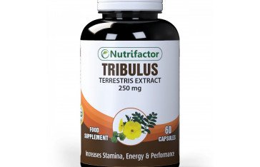 Tribulus Terrestris in Hyderabad, Sindh, ship Mart, Tribulus Terrestris Supports healthy, 03000479274