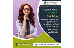 earn-from-your-home-by-doing-data-entry-job-small-0