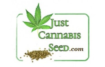 JCS Contests Win Free Cannabis Seeds..