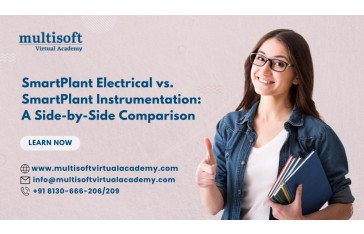 SmartPlant Electrical Vs. SmartPlant Instrumentation: A Side-By-Side Comparison