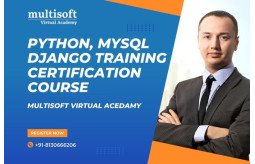 python-mysql-django-training-certification-course-small-0