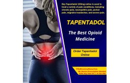 buy-tapentadol-100mg-online-without-prescription-overnight-in-the-usa-small-0