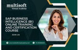 sap-business-intelligence-bi-online-training-and-certification-course-small-0