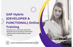 sap-hybris-developer-functional-online-training-small-0