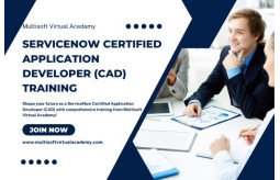servicenow-certified-application-developer-cad-training-small-0