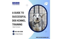 a-guide-to-successful-dog-kennel-training-read-to-know-small-0
