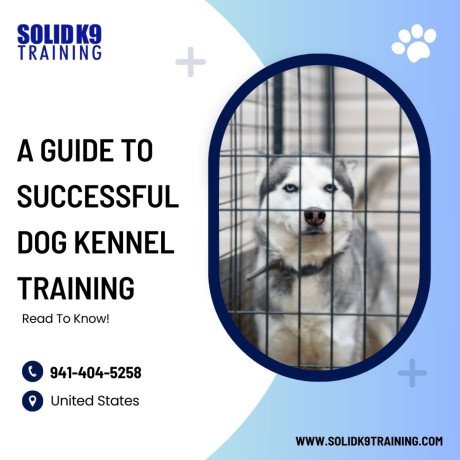 a-guide-to-successful-dog-kennel-training-read-to-know-big-0