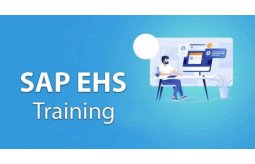 sap-ehs-online-training-and-certification-course-small-0