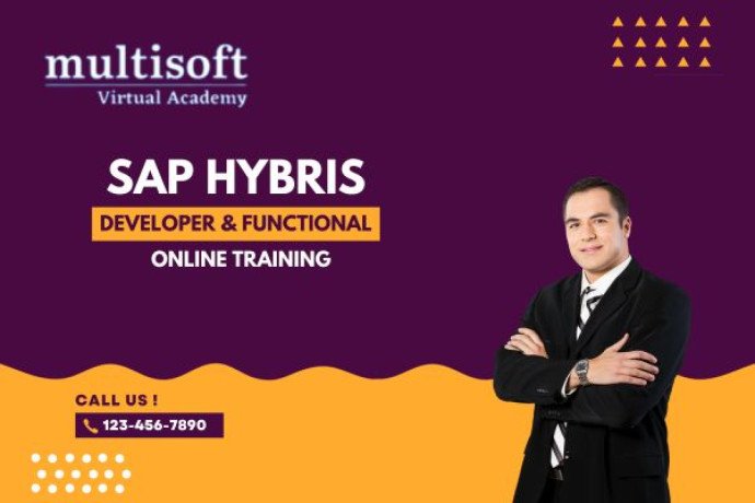 sap-hybris-developer-functional-online-training-big-0