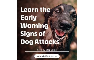 Learn the Early Warning Signs of Dog Attacks