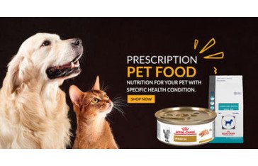 Pet Supplies Stores