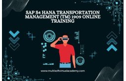 sap-s4-hana-transportation-management-tm-1909-online-training-small-0