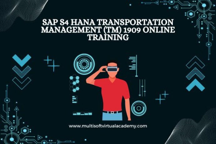 sap-s4-hana-transportation-management-tm-1909-online-training-big-0
