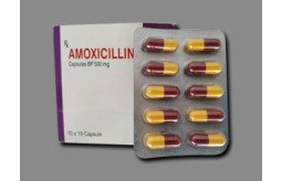 get-10-off-on-your-first-order-buy-amoxicillin-online-without-prescription-west-virginia-usa-small-1