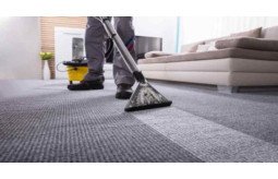 top-commercial-carpet-cleaning-services-proschoice-small-0