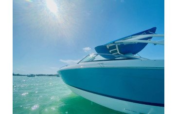 Boat tours annamaria island