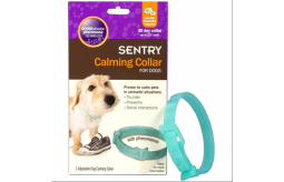 dog-collars-and-harnesses-small-4