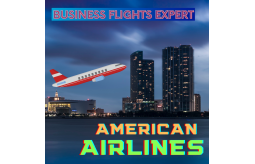 american-airlines-business-class-flights-small-0