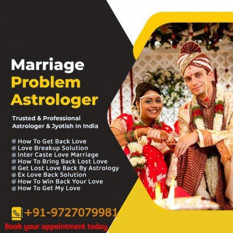astrologer-in-usa-maa-ambe-astrologer-big-3