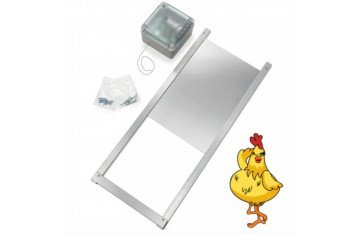 Find a battery operated chicken coop door that best protects your chickens.