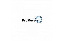 pro-movers-miami-small-0