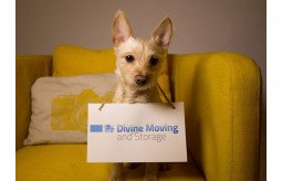 divine-moving-and-storage-nyc-small-4