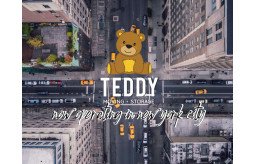 teddy-moving-and-storage-small-0
