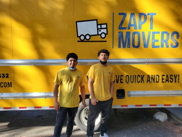 zapt-movers-big-1