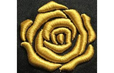 Embroidery Digitizer