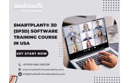 smartplant-3d-sp3d-software-training-course-in-usa-small-0
