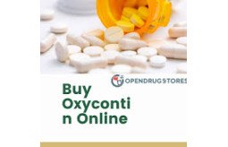 buy-oxycontin-online-get-painkillers-delivered-promptly-and-reliably-small-0