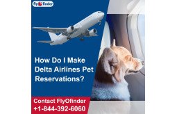 delta-international-pet-policy-flyofinder-small-0