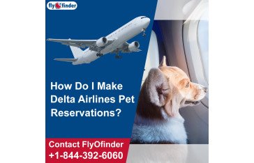 Delta International Pet Policy | FlyOfinder