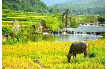 Vietnam holiday packages